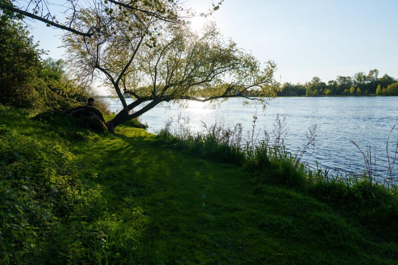 فيلا Dome Avec Vue Sur Loire Proche De Chambord Saint-Dyé-sur-Loire المظهر الخارجي الصورة